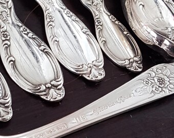43pc WM Rogers Victorian Rose International Silver Plate Service