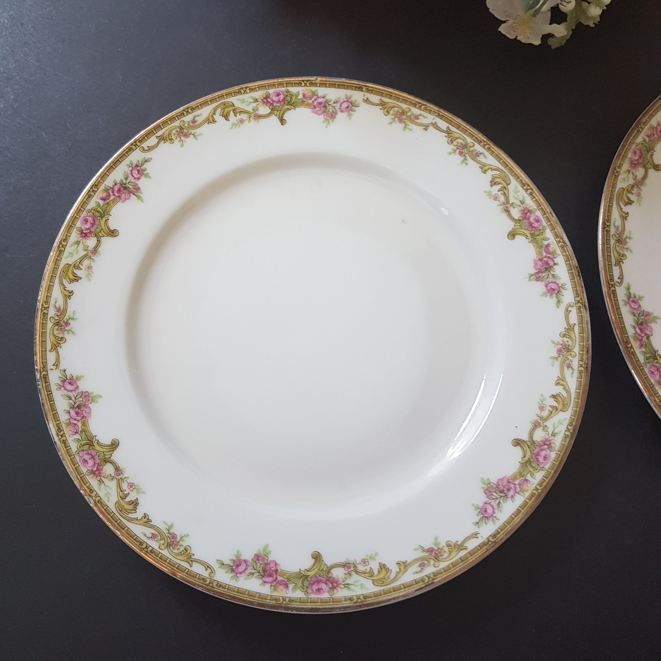 French Antique Limoges Set of 2 Porcelain Salad Plates Etsy