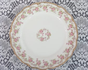 Antique Limoges Dessert Plates Set: Pink Roses Elite Works France 1920s Vintage Porcelain China