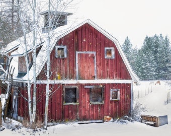 Matt Roberg Photography -Washington -Red Barn -Snö -Björkar -Fotografier -Landskapsbilder -Vintersäsong -Vinterfotografering