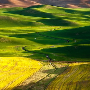 Steptoe Butte Photography- The Palouse - Washington Art- Fine Art Print- Landscape Photography Prints- Farmland Photography