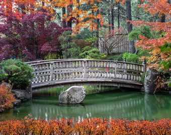 Matt Roberg Photography -Manito Park  -Manito Japanese Gardens -Spokane Photos  -Photography Prints -Landscape Prints -Fall Colors