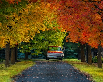 Matt Roberg Photography -Manito Park  -Manito Japanese Gardens -Spokane Photos  -Photography Prints -Landscape Prints -Fall Colors