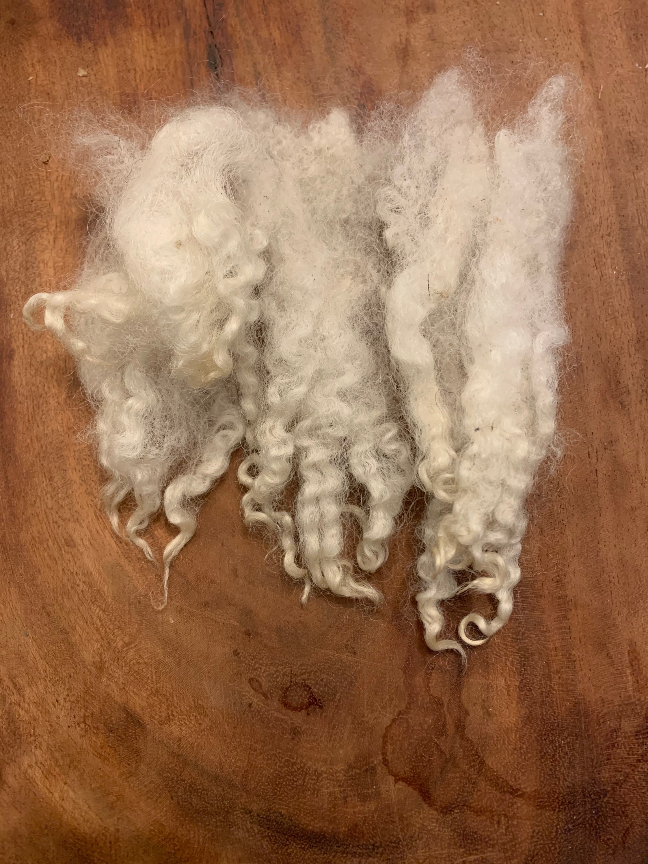 Washed mule wool curls Etsy