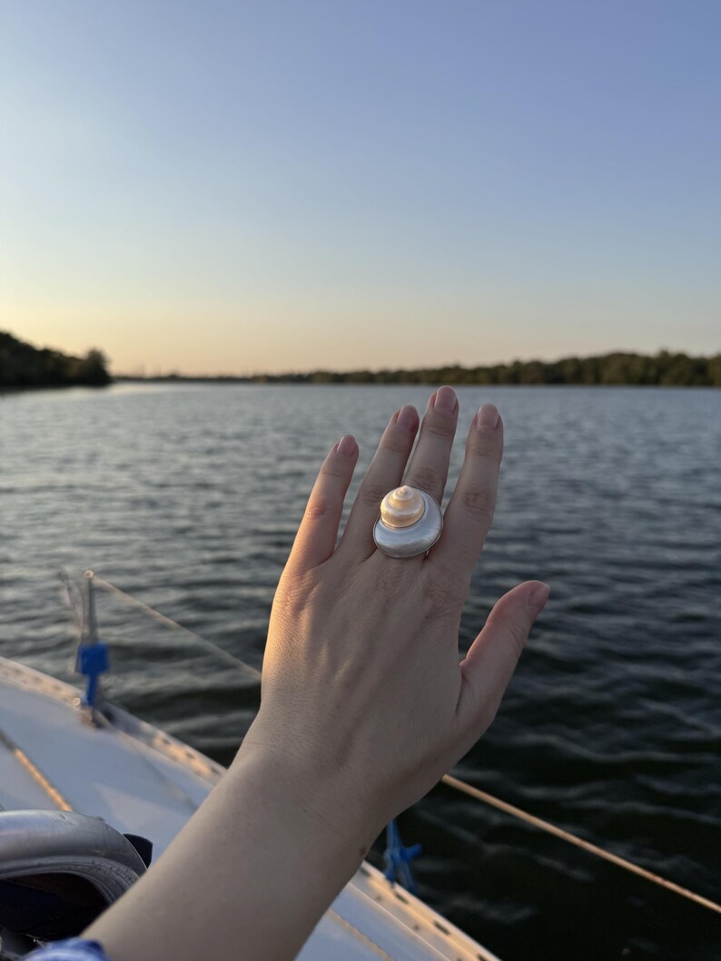 May include: A ring featuring a large, smooth, white seashell centerpiece with a spiraled, pearlescent top. The shell is mounted on a simple, polished silver-toned band that sits prominently on the finger, showcasing a natural, organic aesthetic.