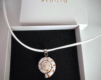 Sea Shell Choker, Natural Round Shell Necklace, Summer Beach Necklace, Adjustable Cord Choker, Gifts for Her