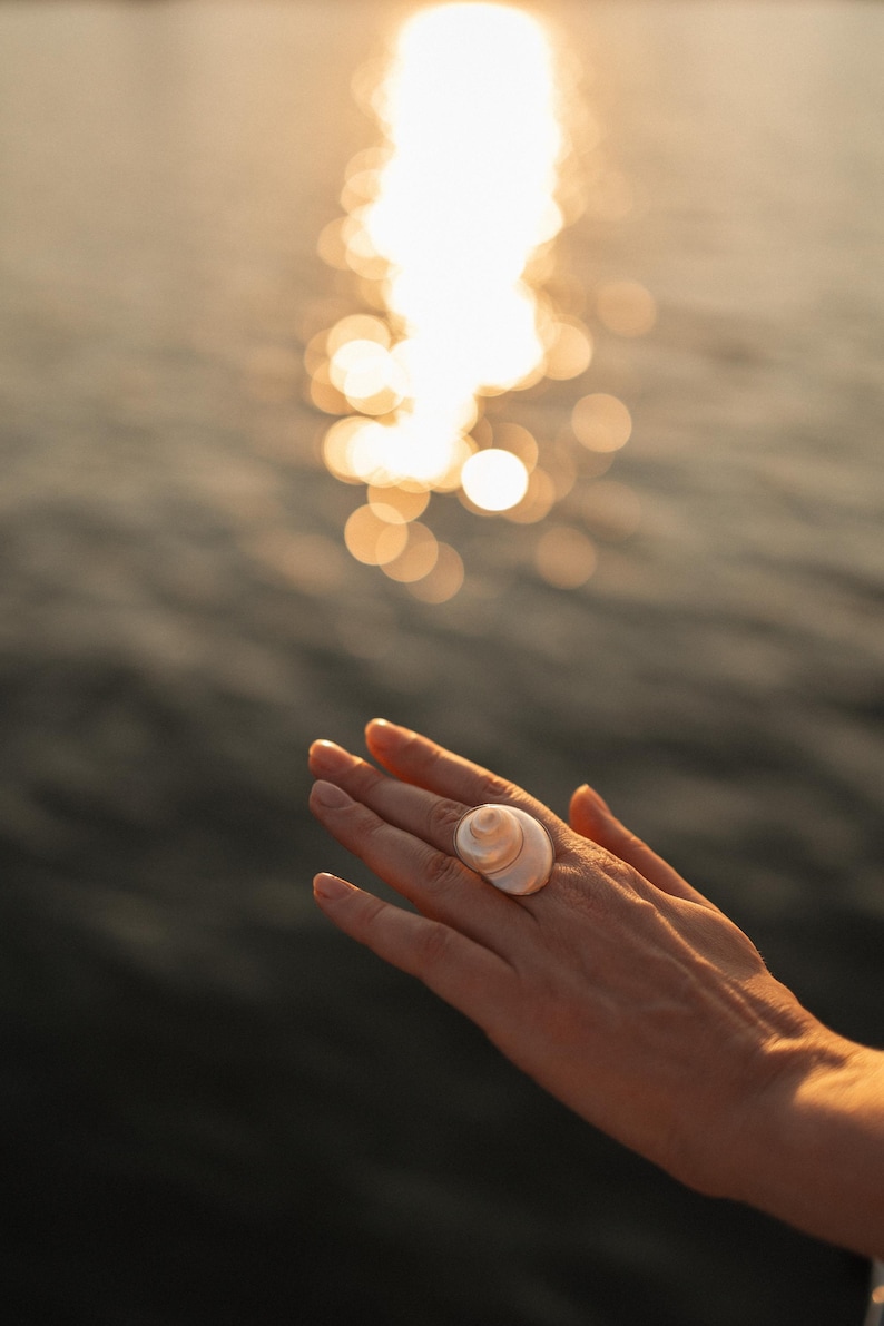 May include: A ring featuring a smooth, spiraled, off-white seashell as the central focal point. The shell has a polished, rounded surface with subtle beige and cream color variations, securely mounted on a band worn on the ring finger.