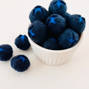 Blueberry Bundle