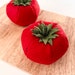see more listings in the Felt Vegetables section