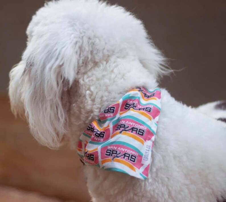 san antonio spurs dog jersey