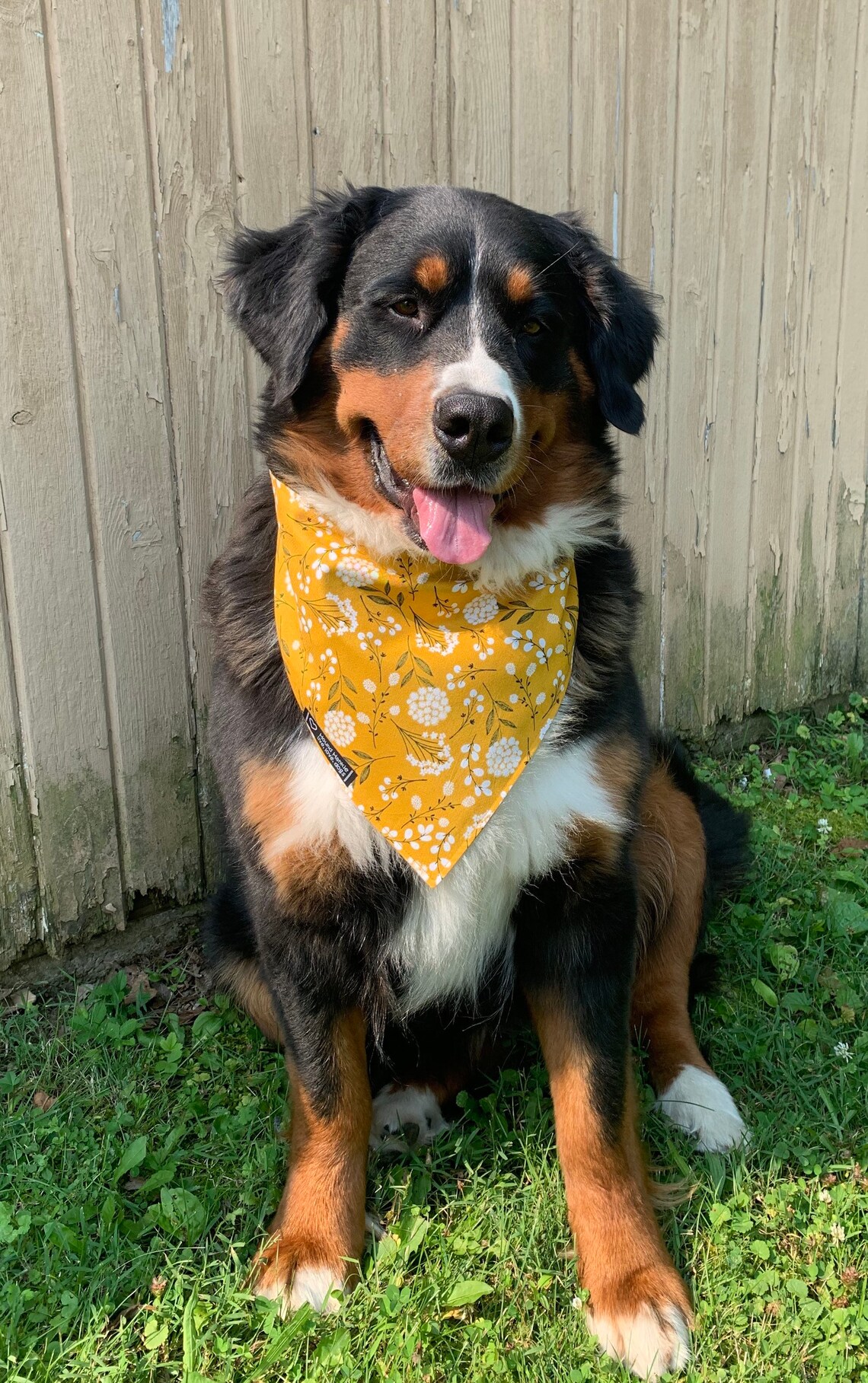 Hund Hankie Sonnenblume Batik Queen Annes Spitze Senf Herbst Etsy