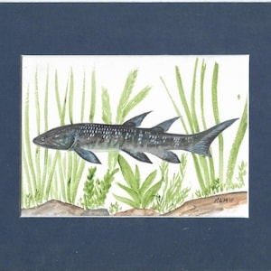 May include: Watercolor painting of a fish with a dark gray body and multiple fins, set against a backdrop of green aquatic plants. The artwork is framed within a white mat and a dark blue border.