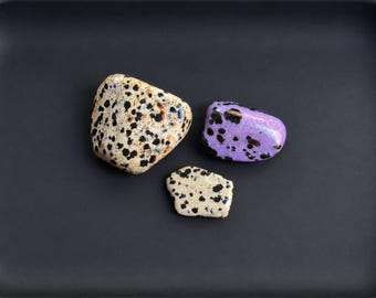 Op de afbeelding: Drie gepolijste stenen van verschillende groottes. Twee stenen zijn crèmekleurig met zwarte stippen, lijkend op dalmatiërjaspis. De derde steen is felpaars met zwarte stippen en heeft een glad, glanzend oppervlak met ronde vormen.