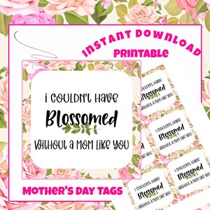 Printable Mothers Day Tags - Floral Gift Tag - Blossomed Without A Mom Like You - Instant Download - Flower Gift Tag