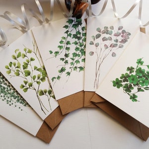 Set di 5 carte botaniche. Edera, Ginkgo, Eucalipto, Primavera di perle, Trifoglio fortunato - Biglietti di auguri vuoti piegati - Originariamente dipinti a mano