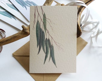 Conjunto de cartões. Cartão botânico. Folhas de eucalipto - Conjunto de notas em branco dobradas e cartões comemorativos - Opções de textura de cartão - Originalmente pintado à mão