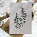 see more listings in the Botanical Cards section