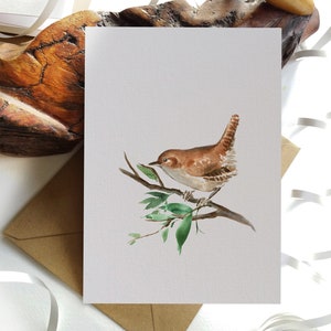 Card Set. Bird Card. Wren  - Folded Blank Note Card, Greeting Card. Originally Hand painted
