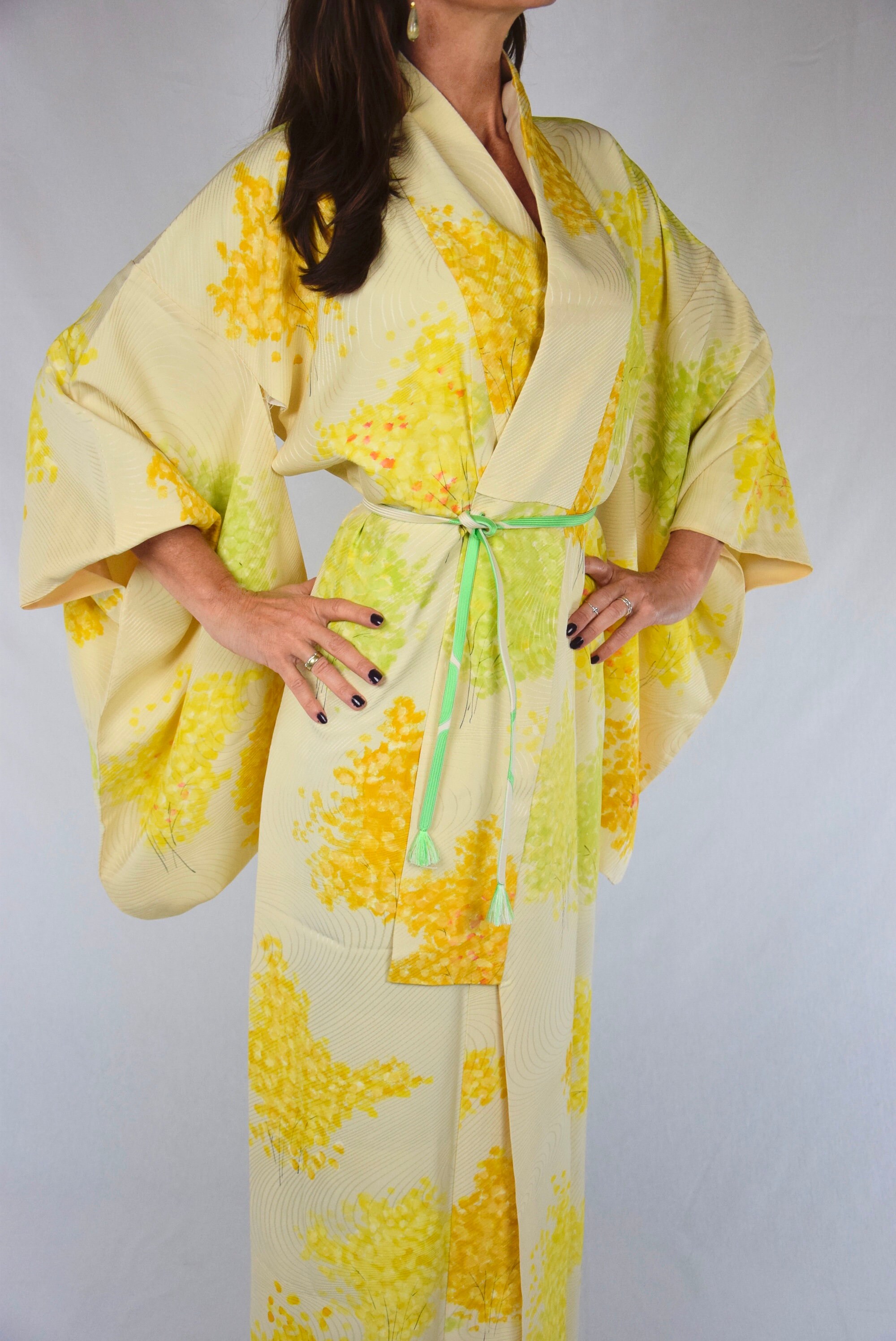 Japanese Vintage Kimono Robe silk including Obijime (Kumihimo) belt