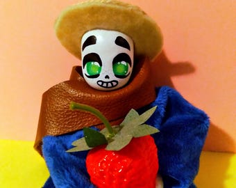 Fazendeiro Sans