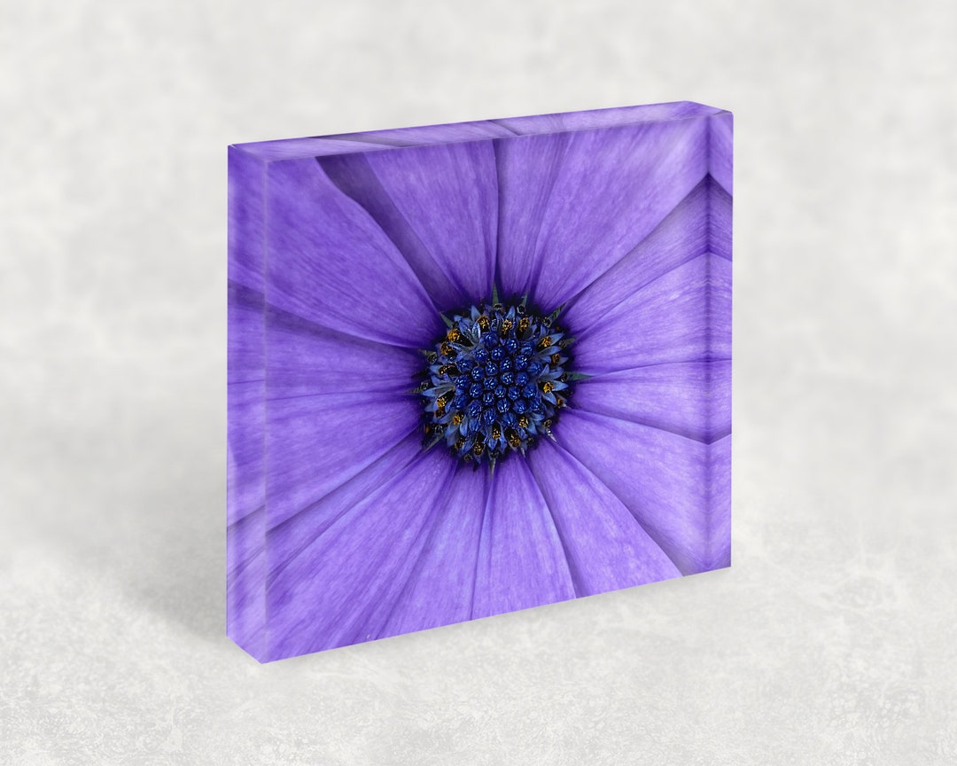 Daisy Shelf Ornament Floral Decoration Home Décor Daisy Etsy