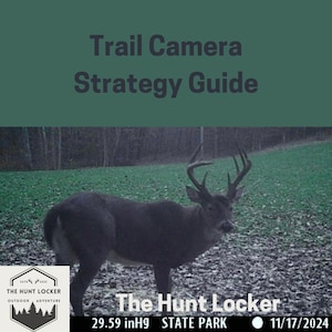 May include: A trail camera image of a large buck with a large rack of antlers standing in a field. The image was taken on November 17, 2024, at The Hunt Locker in a state park. The image shows a barometric pressure of 29.59 inches of mercury.