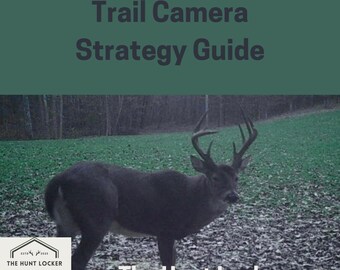May include: A trail camera image of a large buck with a large rack of antlers standing in a field. The image was taken on November 17, 2024, at The Hunt Locker in a state park. The image shows a barometric pressure of 29.59 inches of mercury.