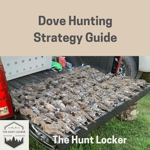 Dove Hunting Strategy Guide: Master Scouting, Shooting, and Seasonal Timing for High-Volume Dove Hunts (PDF Printable)