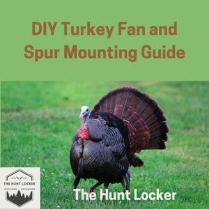 DIY Turkey Fan and Spur Mounting Guide: Preserve Your Hunt with a Custom Trophy Display