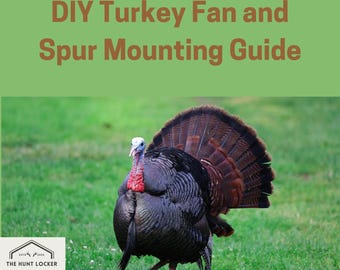 DIY Turkey Fan and Spur Mounting Guide: Preserve Your Hunt with a Custom Trophy Display