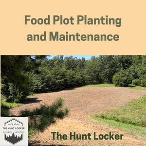 Guide till plantering och underhåll av födoodlingsplottar: Odla högpresterande plättar för vitsvansjakt och framgångsrik habitatbevaring