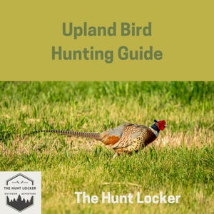 Upland Bird Hunting Guide: Proven Strategies, Gear Essentials, and Techniques for Successful Upland Hunts