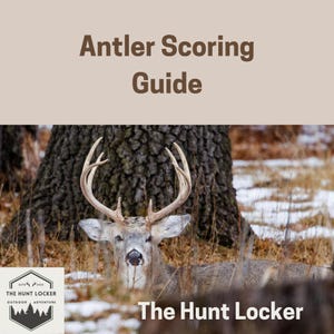May include: An image of a deer with large antlers, lying in tall grass near a tree. The text "Antler Scoring Guide" is at the top, and "The Hunt Locker" is at the bottom, along with a logo.