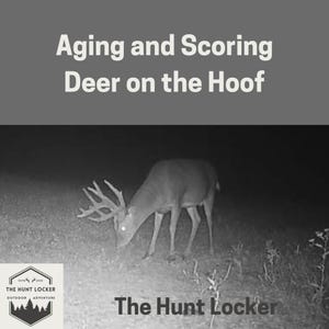 Aging and Scoring Deer on the Hoof: Identify Age and Antler Potential Before the Shot