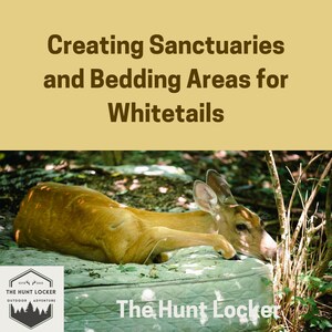 Guide du sanctuaire de queue blanche : zones de nidification des cerfs, amélioration de l'habitat (téléchargement numérique)