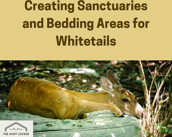 Whitetail Sanctuary Guide: Deer Bedding Areas, Habitat Improvement (Digital Download)