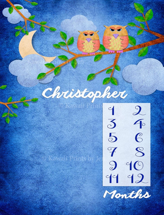 Owl milestone blanket shop