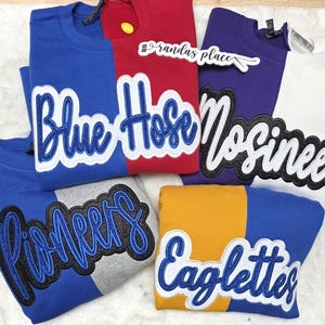 May include: A collection of crewneck sweatshirts in various colors, including blue, red, purple, white, gray, and yellow. Each sweatshirt features a team name in a script font with a contrasting outline. The names include "Blue Hose", "Nosinee", "Pioneers", and "Eaglettes".
