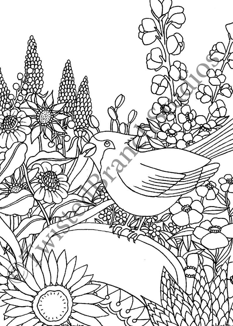 Adult Coloring Page Bird Bath Illustration Instant | Etsy