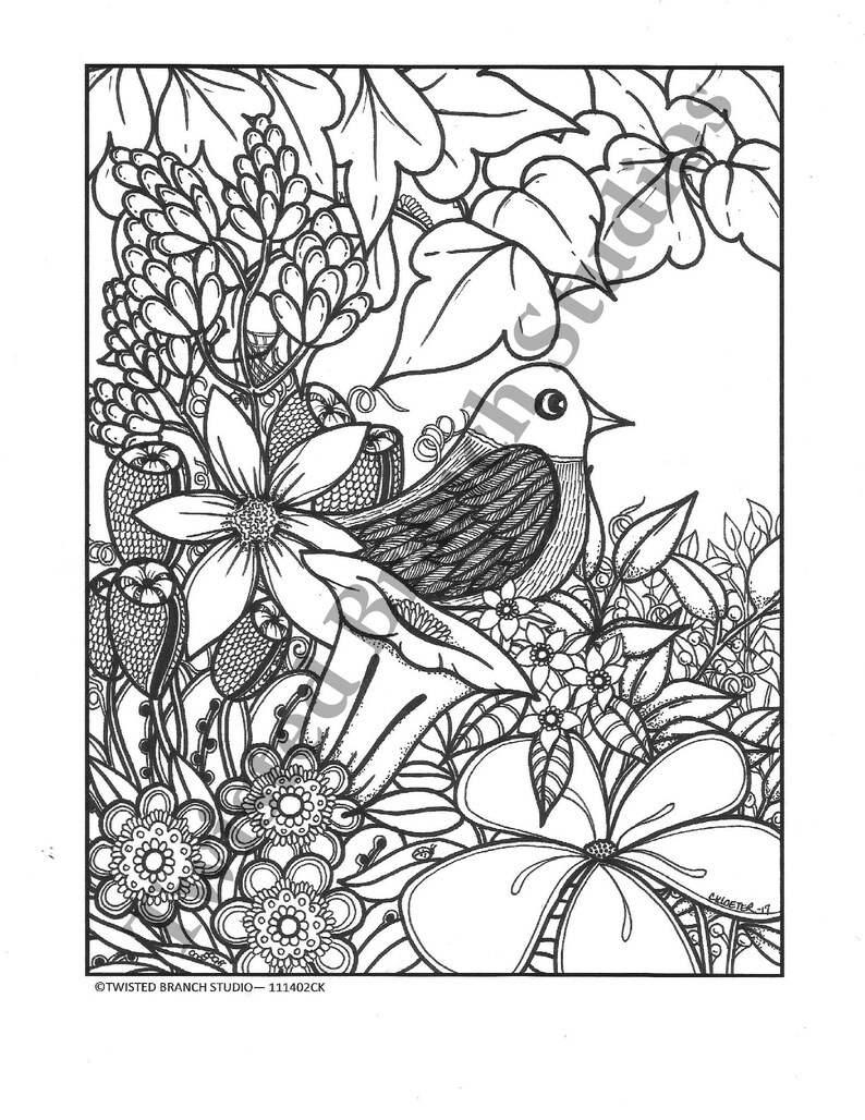 5300 Whimsical Bird Coloring Pages  Images
