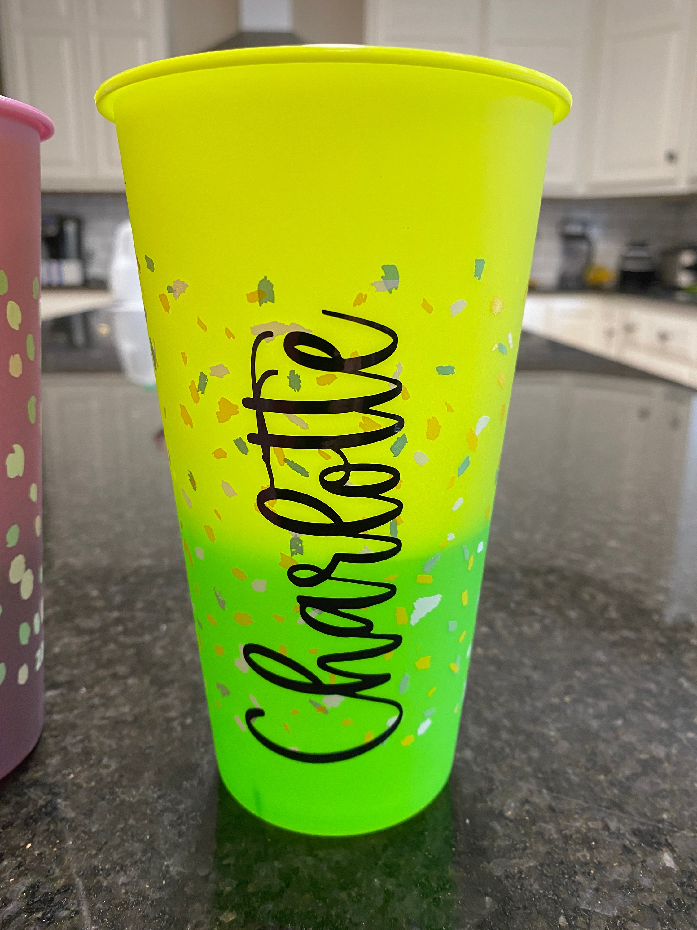 Color Changing Cold Cups ZAK cups Travel Cups Cups with Lids Etsy