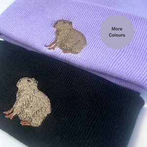 Peut inclure: Deux bonnets en tricot avec des motifs de capybaras brodés. Un bonnet est noir et l'autre est lavande. Le bonnet lavande a le texte "Plus de couleurs" sur une étiquette grise.