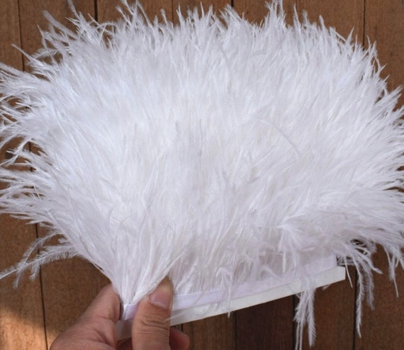 1 2 Ply Thickness Natural Ostrich Feathers Trim Fringe White Ostrich  feather Trimming Ribbon for Clothing Sewing Decor Accessory