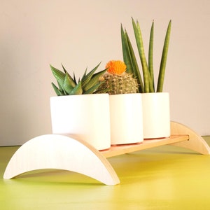 Indoor Plant Stand Oasis | Modern Colorful Display | Small Tile Shelf | Gardening Gift for Bonsai, Succulent and Kitchen Herbs, Handmade USA