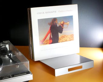 Suporte para discos de vinil para 50 discos | Suporte Flip Minimalista para LPs | Prateleira Inclinada Moderna do Designer Original | Prata | Fabricado nos EUA