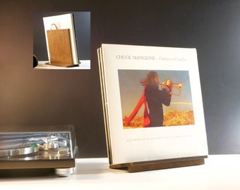 Ten Album Now Spinning Storage Stand for Vinyl Records | Modern Space-Saving Lean Back Design | Holds and Displays Favorite Bands & Artists