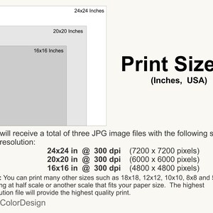 May include: Print sizes graphic with three nested rectangles labeled 16x16, 20x20, and 24x24 inches. Text indicates the image files are 300 dpi and provides pixel dimensions. Additional text explains print size options.
