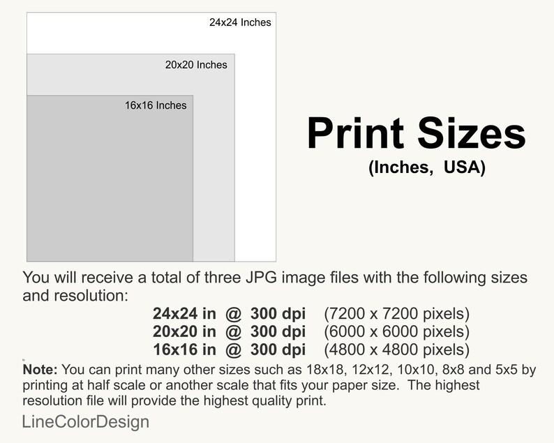 May include: Print sizes graphic with three nested rectangles labeled 16x16, 20x20, and 24x24 inches. Text indicates the image files are 300 dpi and provides pixel dimensions. Additional text explains print size options.