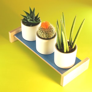 Indoor Plant Stand | Tile and Wood Plant Holder | Organizes Small Succulents, Cactus, Flowers, Bonsai and Kitchen Herbs | Handmade in USA