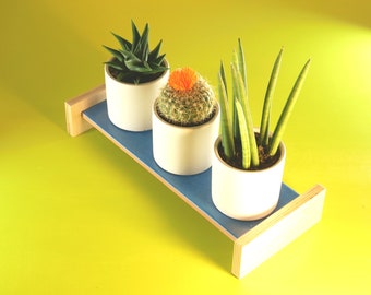 Indoor Plant Stand | Tile and Wood Plant Holder | Organizes Small Succulents, Cactus, Flowers, Bonsai and Kitchen Herbs | Handmade in USA